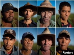 Los campesinos cubanos Lázaro González, Carlos Yopisai, Ebraín Sánchez, Roniel Cordero, Osvel Montero, Lázaro Soto, Jorge Luis González y Luis Súarez.