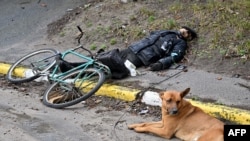 Perro junto a su dueño asesinado durante la retirada de las tropas rusas de Bucha. 