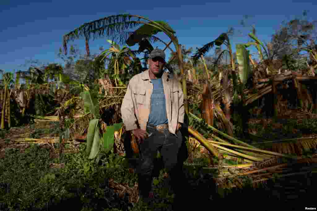 Leonardo Abreu, de 47 años, posa frente a su siembra de plátano, afectada por el huracán Rafael, en Caimito, Artemisa, el 18 de noviembre de 2024. REUTERS/Alexandre Meneghini