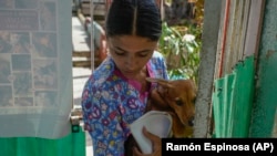 La técnica veterinaria Elizabeth Meade, fundadora del refugio Adopciones por Amor, sostiene a Linda n La Habana, Cuba.